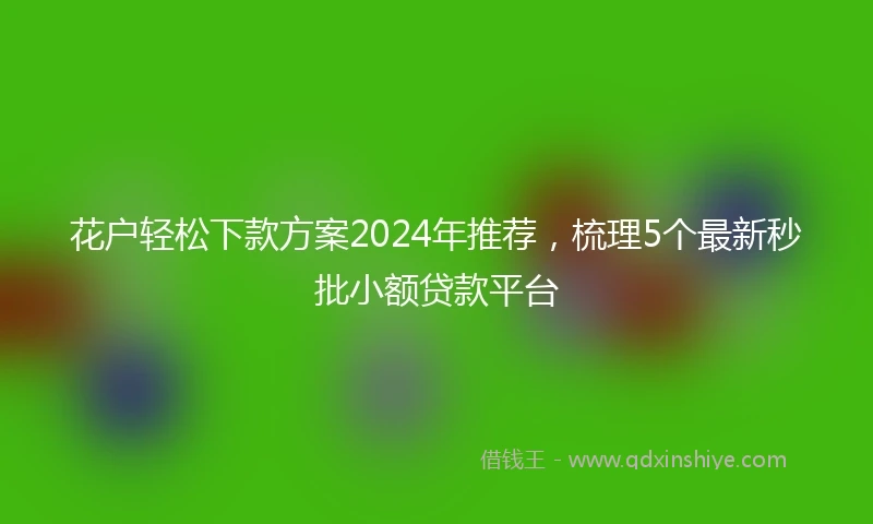 花户轻松下款方案2024年推荐，梳理5个最新秒批小额贷款平台