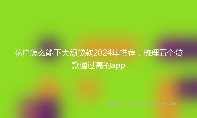 花户怎么能下大额贷款2024年推荐，梳理五个贷款通过高的app