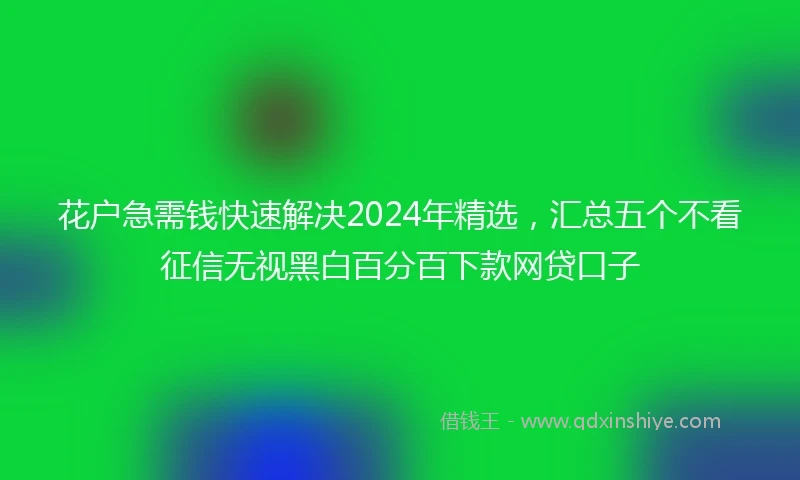 花户急需钱快速解决2024年精选，汇总五个不看征信无视黑白百分百下款网贷口子