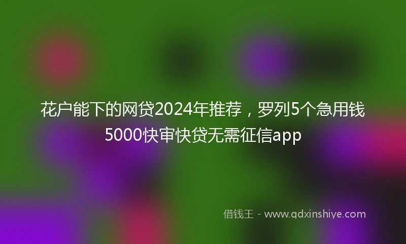 花户能下的网贷2024年推荐，罗列5个急用钱5000快审快贷无需征信app