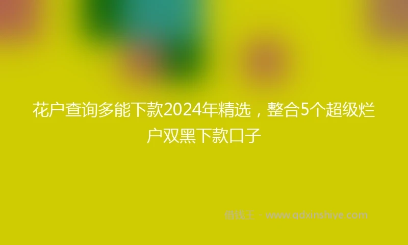 花户查询多能下款2024年精选，整合5个超级烂户双黑下款口子