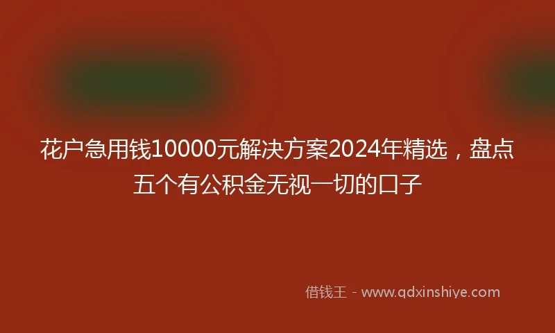 花户急用钱10000元解决方案2024年精选，盘点五个有公积金无视一切的口子