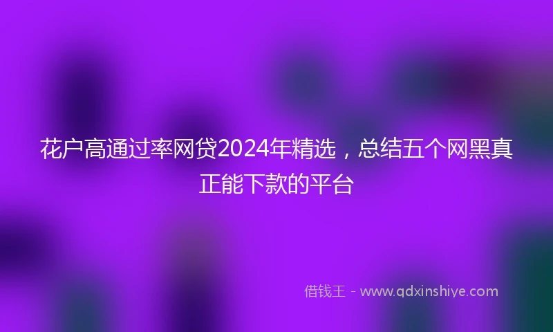花户高通过率网贷2024年精选，总结五个网黑真正能下款的平台