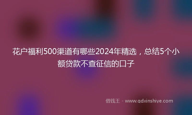 花户福利500渠道有哪些2024年精选，总结5个小额贷款不查征信的口子