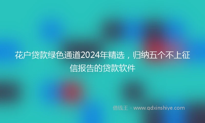 花户贷款绿色通道2024年精选，归纳五个不上征信报告的贷款软件
