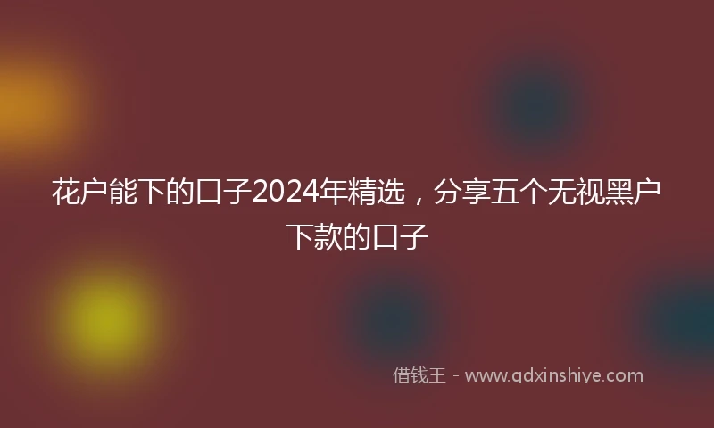 花户能下的口子2024年精选，分享五个无视黑户下款的口子