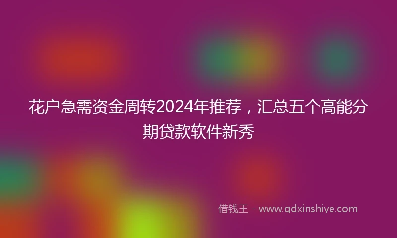 花户急需资金周转2024年推荐，汇总五个高能分期贷款软件新秀