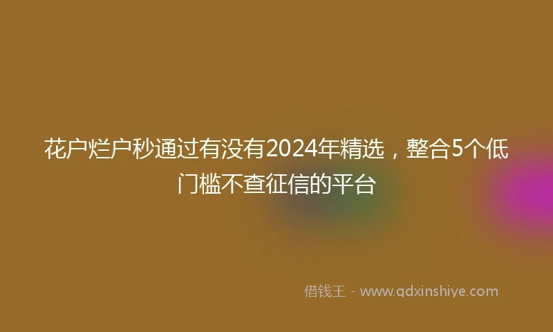 花户烂户秒通过有没有2024年精选，整合5个低门槛不查征信的平台
