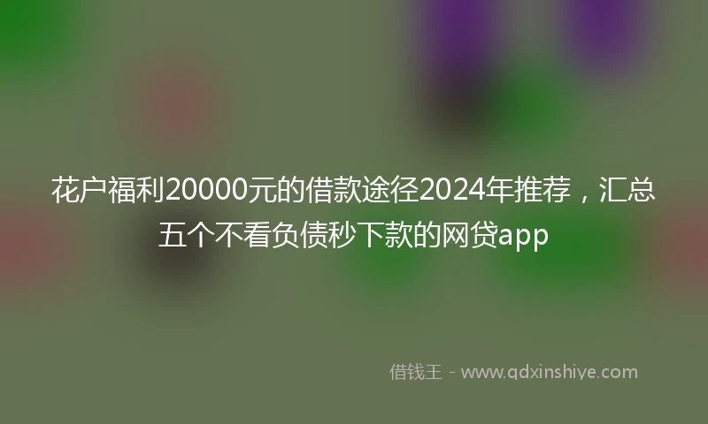 花户福利20000元的借款途径2024年推荐，汇总五个不看负债秒下款的网贷app