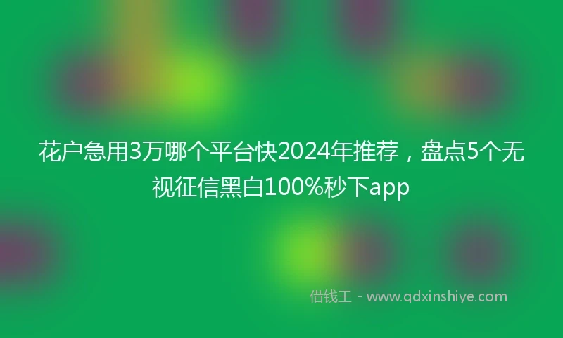 花户急用3万哪个平台快2024年推荐，盘点5个无视征信黑白100%秒下app