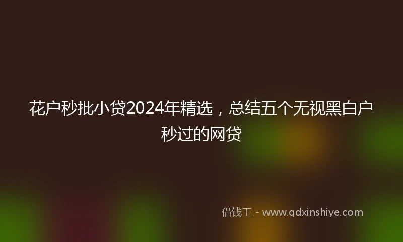 花户秒批小贷2024年精选，总结五个无视黑白户秒过的网贷