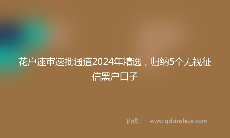 花户速审速批通道2024年精选，归纳5个无视征信黑户口子