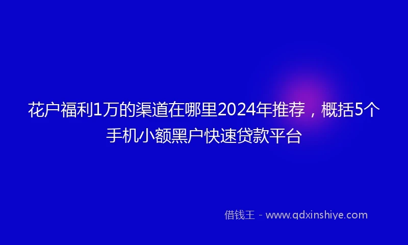 花户福利1万的渠道在哪里2024年推荐，概括5个手机小额黑户快速贷款平台