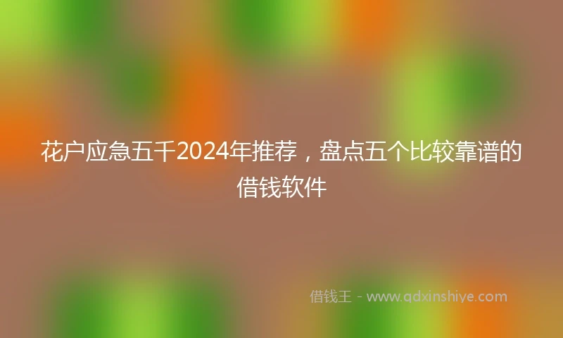 花户应急五千2024年推荐，盘点五个比较靠谱的借钱软件