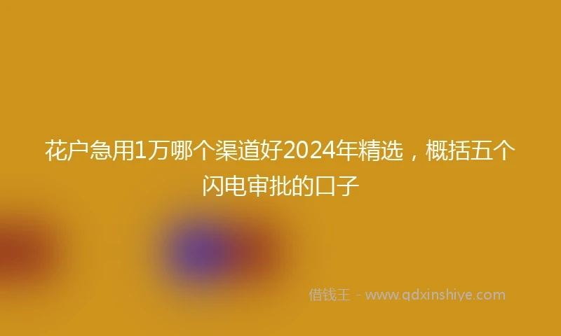 花户急用1万哪个渠道好2024年精选，概括五个闪电审批的口子