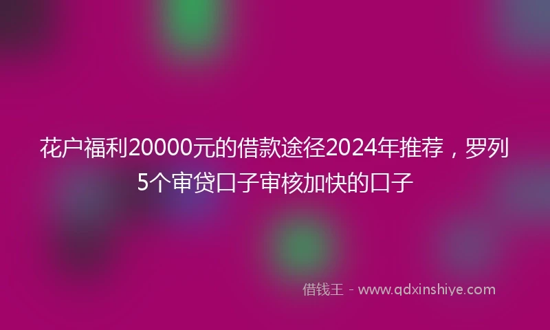 花户福利20000元的借款途径2024年推荐，罗列5个审贷口子审核加快的口子