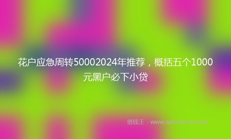 花户应急周转50002024年推荐，概括五个1000元黑户必下小贷