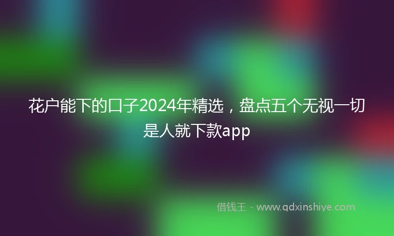 花户能下的口子2024年精选，盘点五个无视一切是人就下款app