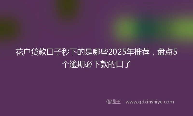 花户贷款口子秒下的是哪些2025年推荐，盘点5个逾期必下款的口子
