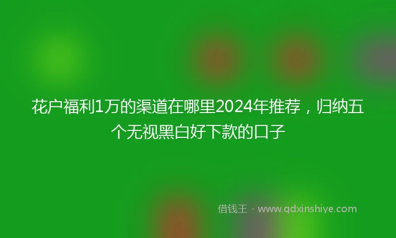 花户福利1万的渠道在哪里2024年推荐，归纳五个无视黑白好下款的口子
