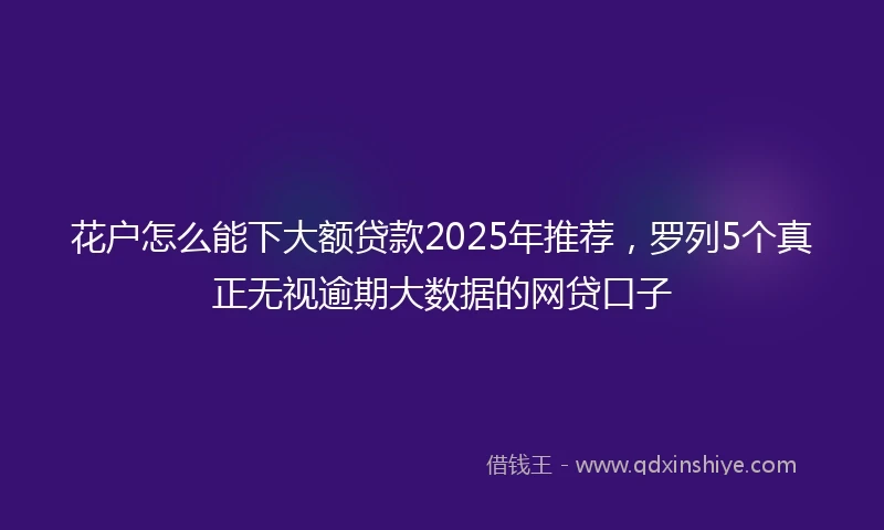 花户怎么能下大额贷款2025年推荐，罗列5个真正无视逾期大数据的网贷口子