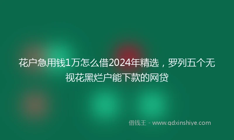 花户急用钱1万怎么借2024年精选，罗列五个无视花黑烂户能下款的网贷