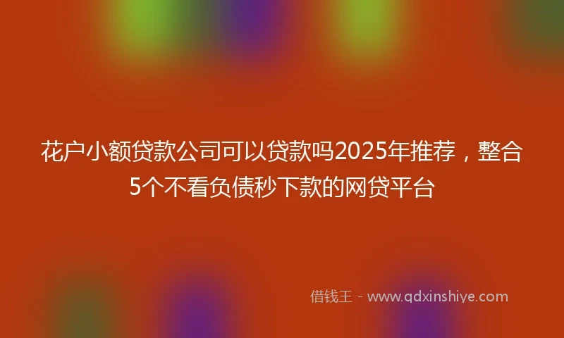 花户小额贷款公司可以贷款吗2025年推荐，整合5个不看负债秒下款的网贷平台
