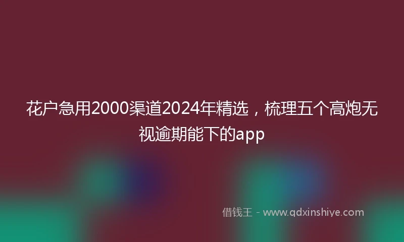 花户急用2000渠道2024年精选，梳理五个高炮无视逾期能下的app