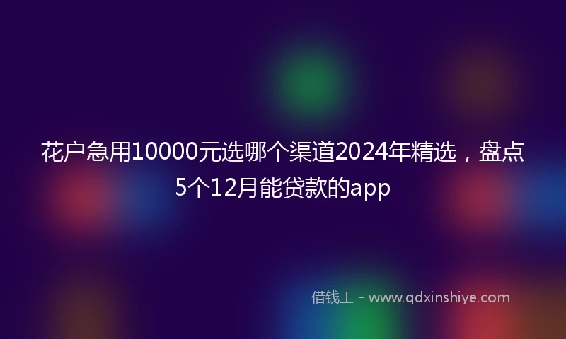 花户急用10000元选哪个渠道2024年精选，盘点5个12月能贷款的app