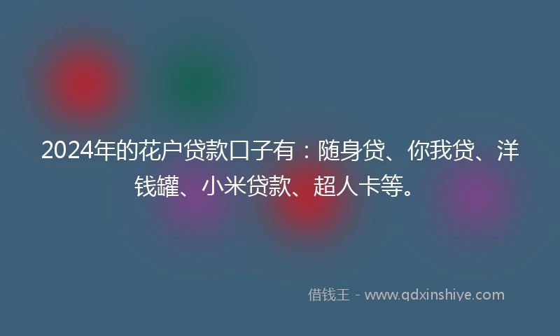 2024年的花户贷款口子有：随身贷、你我贷、洋钱罐、小米贷款、超人卡等。