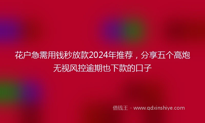 花户急需用钱秒放款2024年推荐，分享五个高炮无视风控逾期也下款的口子