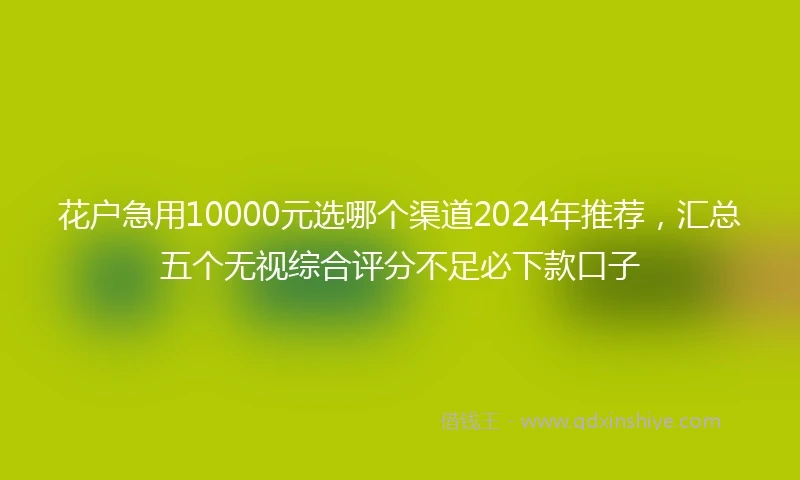 花户急用10000元选哪个渠道2024年推荐，汇总五个无视综合评分不足必下款口子