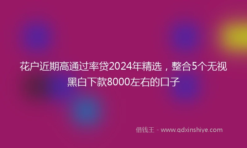 花户近期高通过率贷2024年精选，整合5个无视黑白下款8000左右的口子