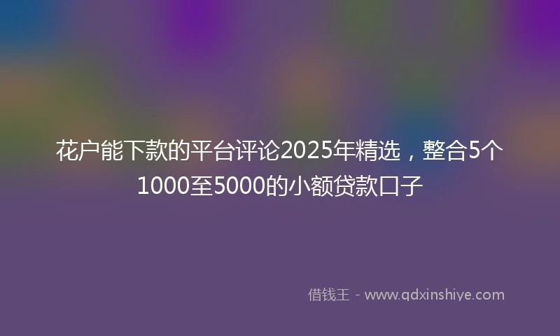 花户能下款的平台评论2025年精选，整合5个1000至5000的小额贷款口子