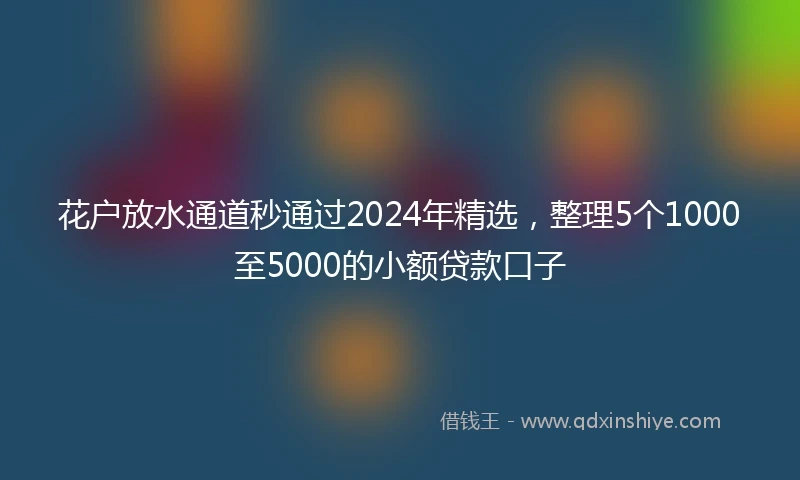 花户放水通道秒通过2024年精选，整理5个1000至5000的小额贷款口子
