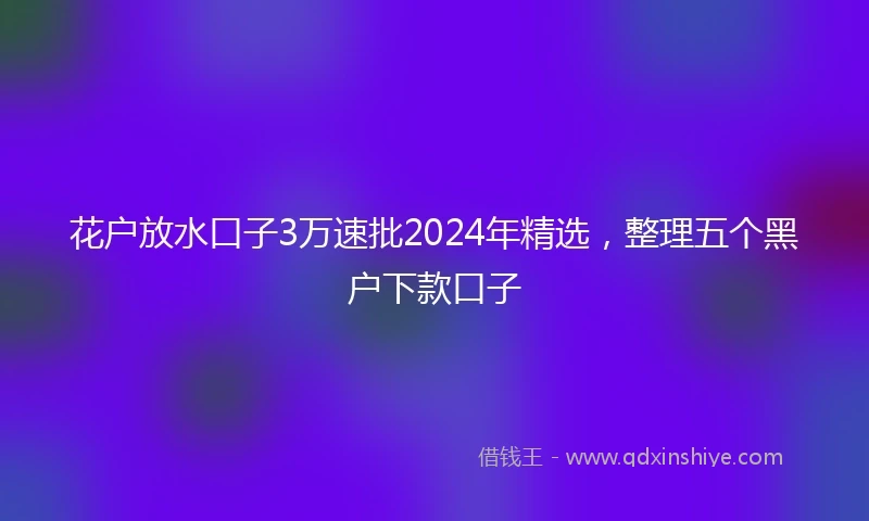 花户放水口子3万速批2024年精选，整理五个黑户下款口子