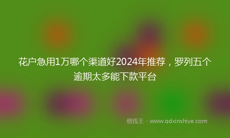 花户急用1万哪个渠道好2024年推荐，罗列五个逾期太多能下款平台