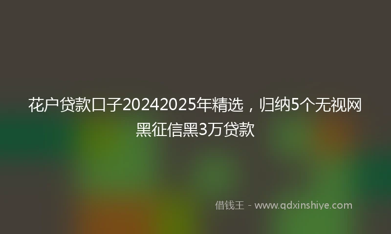 花户贷款口子20242025年精选，归纳5个无视网黑征信黑3万贷款