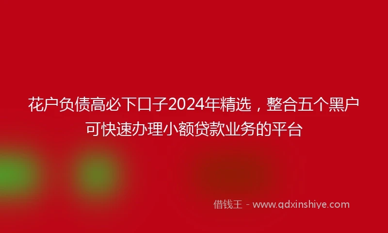 花户负债高必下口子2024年精选，整合五个黑户可快速办理小额贷款业务的平台