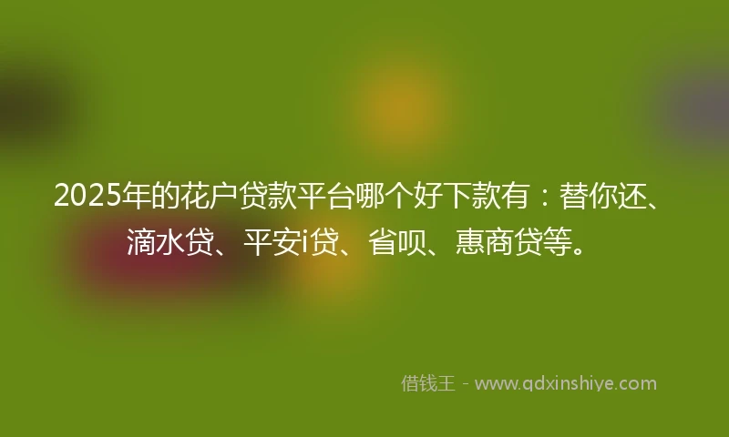 2025年的花户贷款平台哪个好下款有：替你还、滴水贷、平安i贷、省呗、惠商贷等。