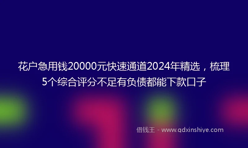 花户急用钱20000元快速通道2024年精选，梳理5个综合评分不足有负债都能下款口子