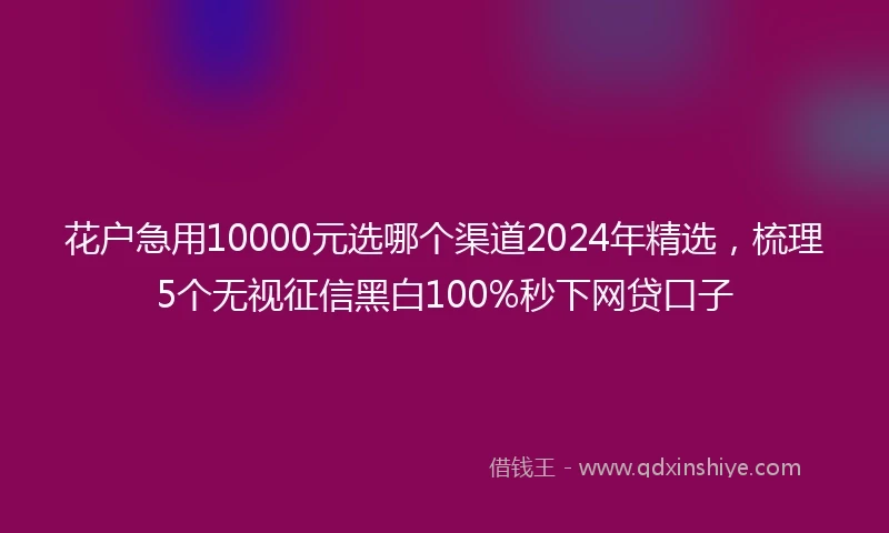 花户急用10000元选哪个渠道2024年精选，梳理5个无视征信黑白100%秒下网贷口子