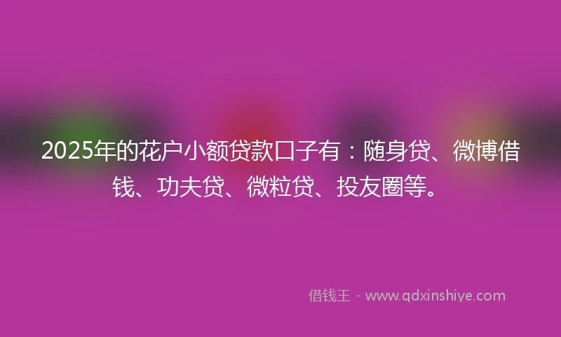 2025年的花户小额贷款口子有:随身贷、微博借钱、功夫贷、微粒贷、投友圈等。
