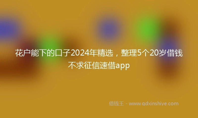 花户能下的口子2024年精选，整理5个20岁借钱不求征信速借app
