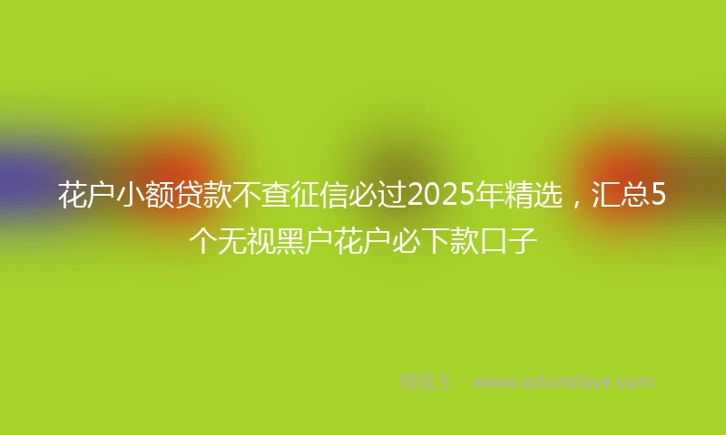 花户小额贷款不查征信必过2025年精选，汇总5个无视黑户花户必下款口子