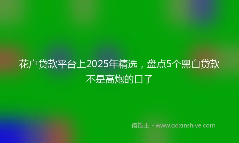 花户贷款平台上2025年精选，盘点5个黑白贷款不是高炮的口子