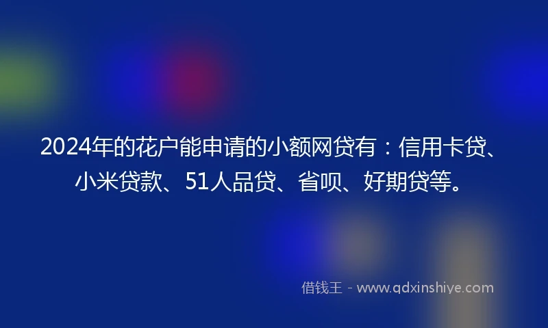 2024年的花户能申请的小额网贷有：信用卡贷、小米贷款、51人品贷、省呗、好期贷等。