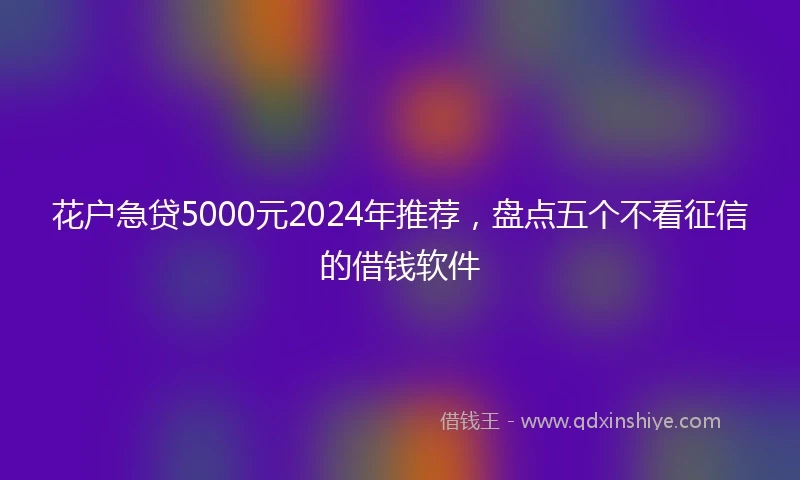 花户急贷5000元2024年推荐，盘点五个不看征信的借钱软件
