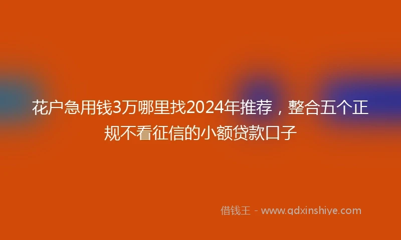 花户急用钱3万哪里找2024年推荐，整合五个正规不看征信的小额贷款口子