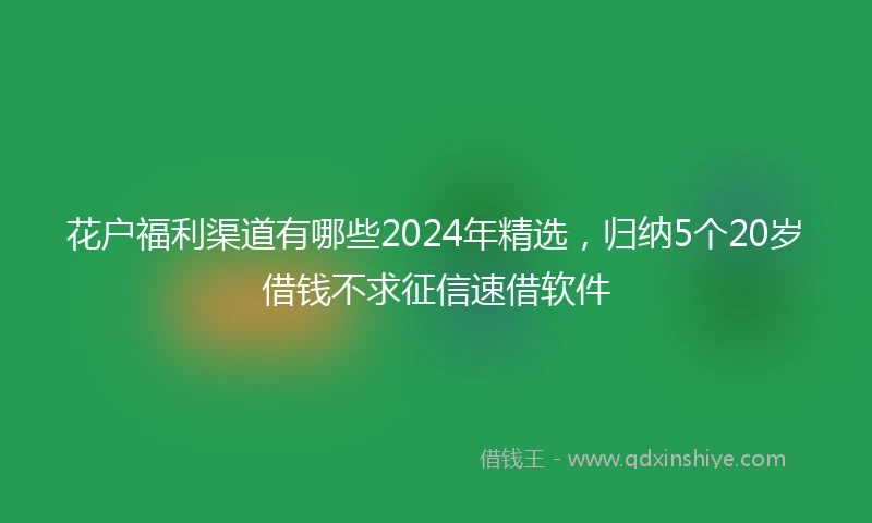 花户福利渠道有哪些2024年精选，归纳5个20岁借钱不求征信速借软件